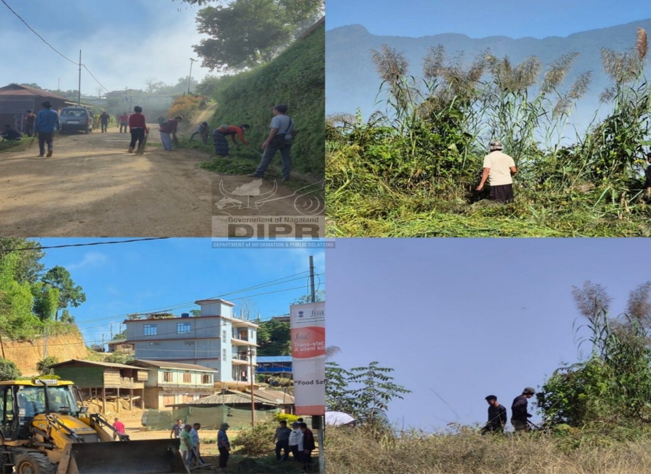 MASS SOCIAL WORK CONDUCTED IN MELURI